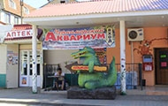 Аквариум в Николаевке